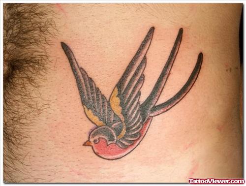 Colourful Bird Tattoo On Chest
