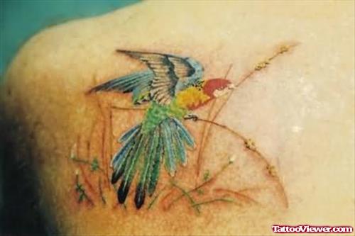 Colorful Bird Tattoo On Back