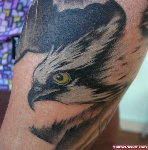 Hawk Tattoo On Muscles