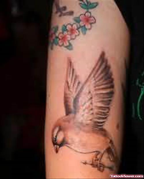 Sleeping Bird Tattoo On Bicep