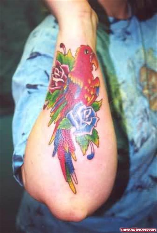 Bird Tattoos On Arm