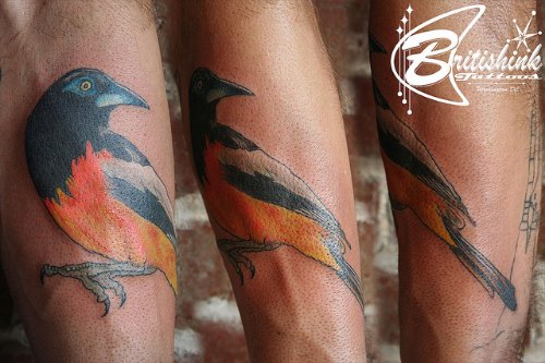 Realistic Bird Tattoo On Sleeve