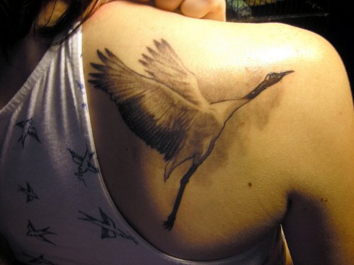 Girl Right Back Shoulder Bird Tattoo