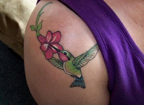 Right Shoulder Cute Humming Bird Tattoo