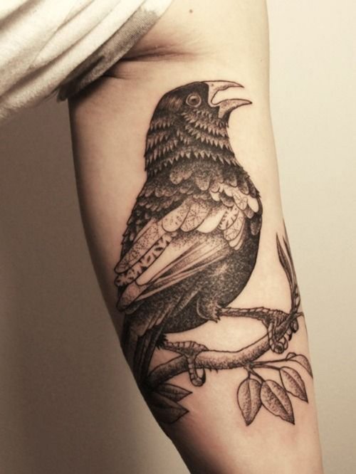 Inner Bicep Grey Ink Bird Tattoo