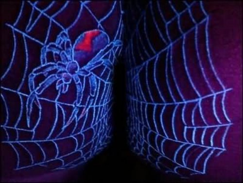 Black Light Web & Spider Tattoo