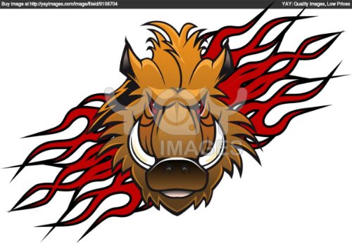 Wild Boar Head In Red Flames Tattoo Design