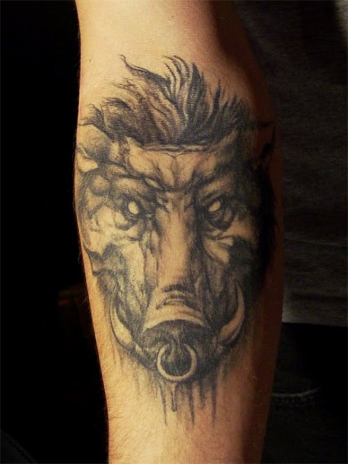 Grey Ink Boar Head Wild Tattoo On Arm