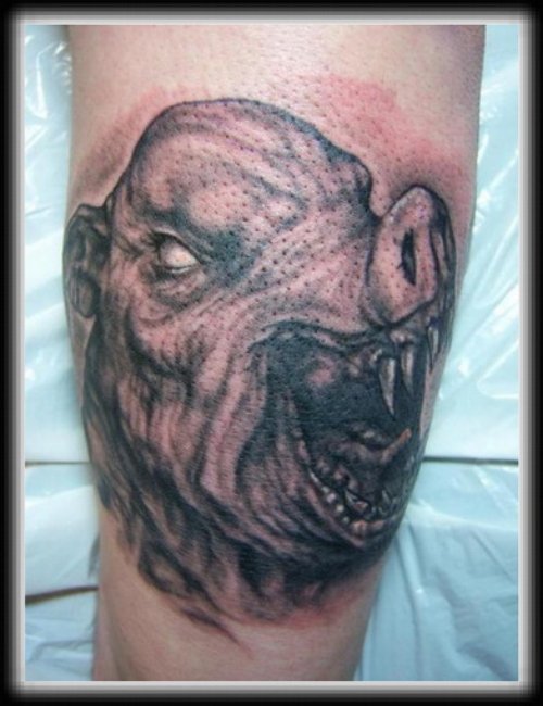 Grey Ink Wild Boar Head Tattoo Picture