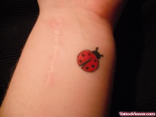 Lady Bug Tattoo On Wrist