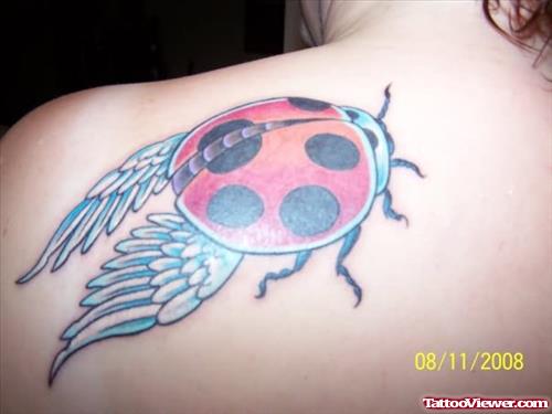 Lady Bug Tattoo On the Shoulder