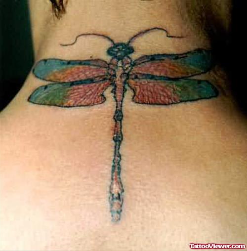 Mosquito Bug Tattoo
