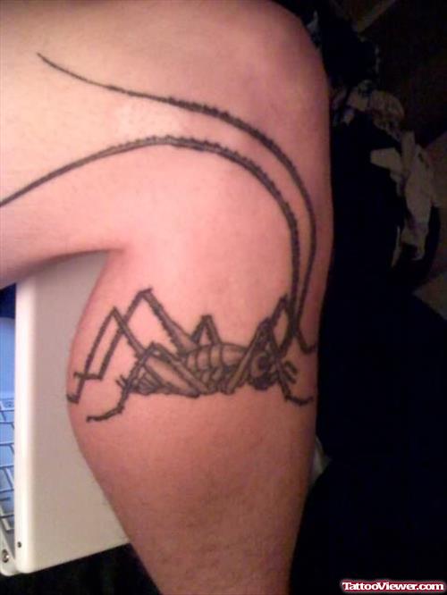 Grasshopper Bug Tattoo