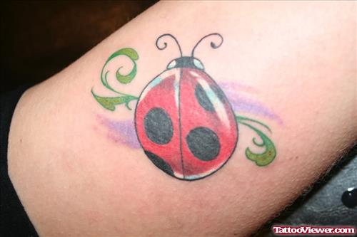 Trendy Lady Bug Tattoo