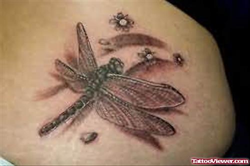 Dragon Fly Bug Tattoo On Back
