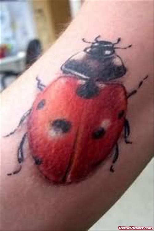 Lady Bug - Bug Tattoo