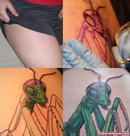 Bug Tattoo Stages