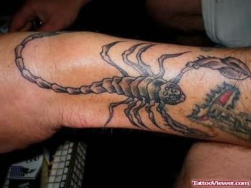 Zodiac Bug Tattoo