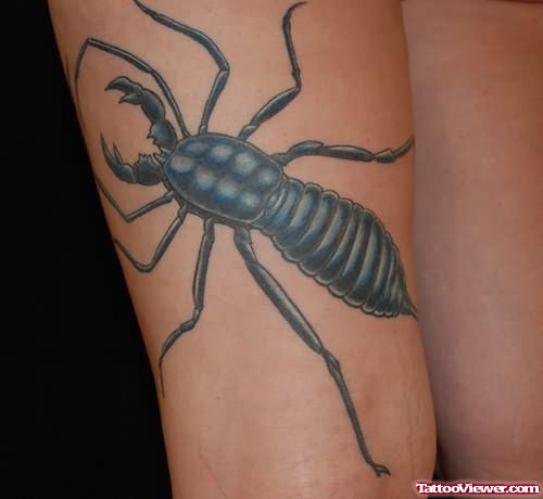 Black Bug Tattoo