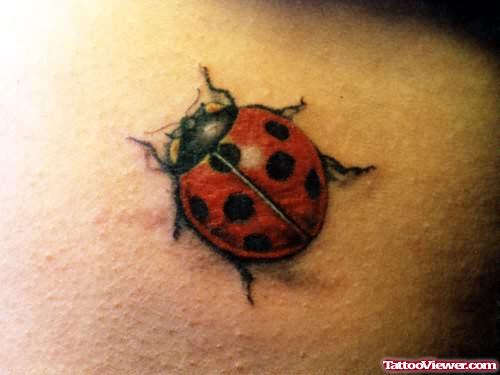Bug Tattoo Design