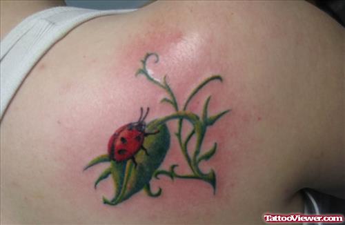 Lady Bug Tattoo For Girls