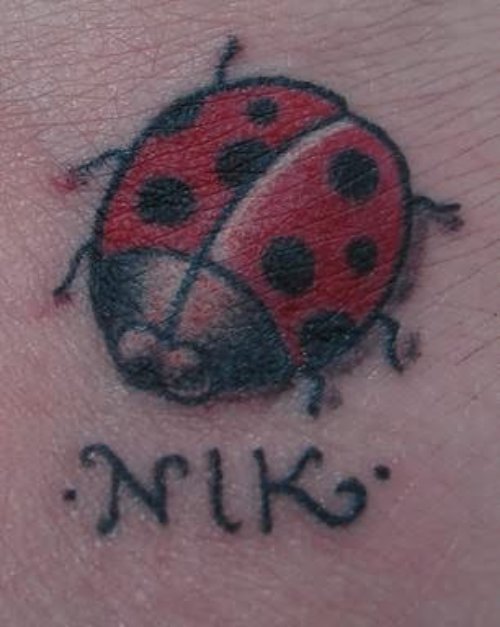 Small Lady Bug Tattoo