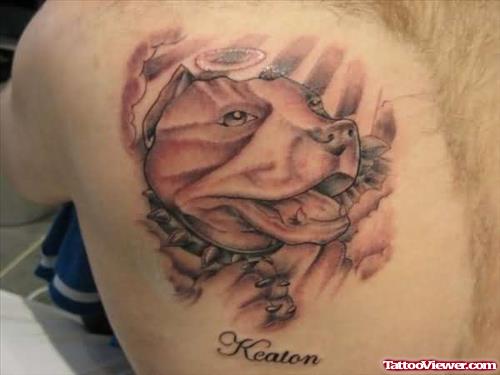 Bull Tattoo Meanings And Pictures