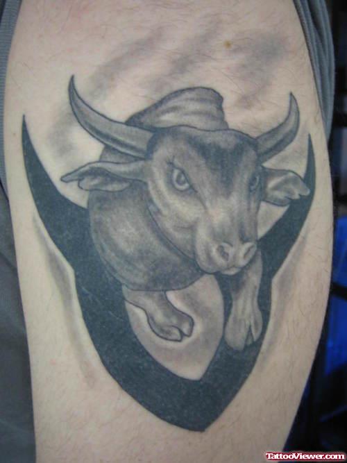 Black Bull Tattoo For Shoulder