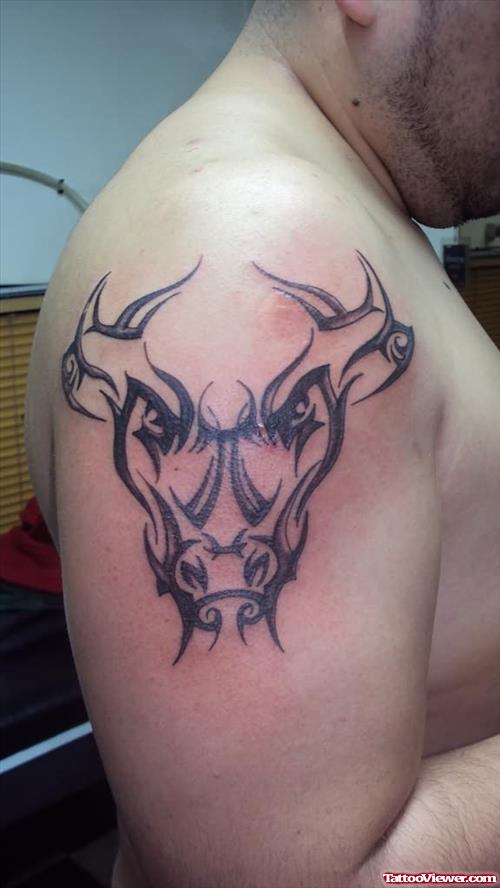 Best Bull Head Tattoo On Shoulder