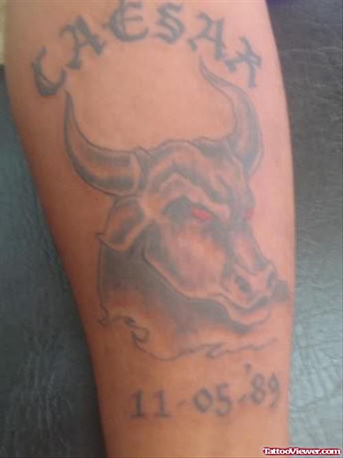 Red Bull Tattoo On Arm