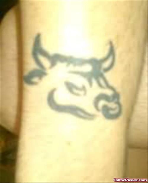 Bulls Face Tattoo Designs