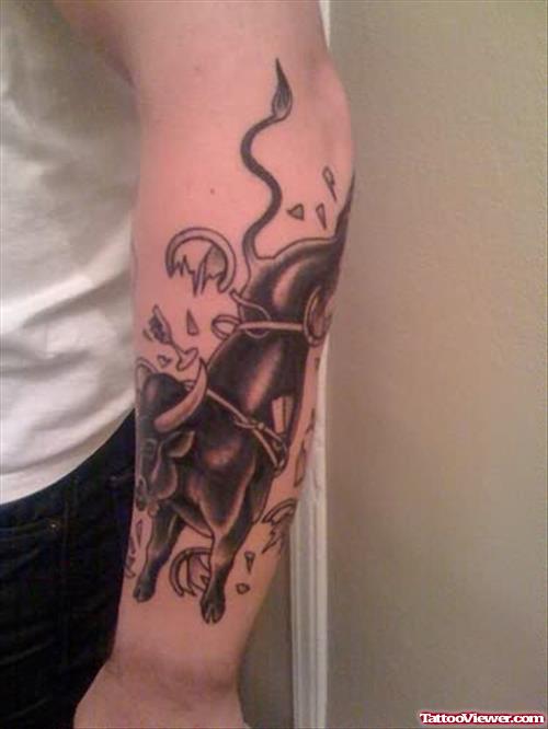Bull Tattoo image On Arm