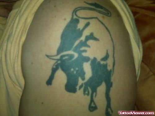 Black Bull Tattoo On Shoulder