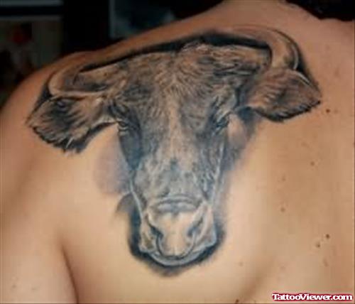 Bull tattoo Designs On Back