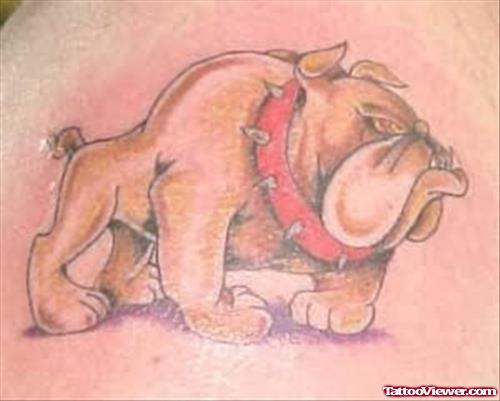 Bull Dog Tattoo Picture