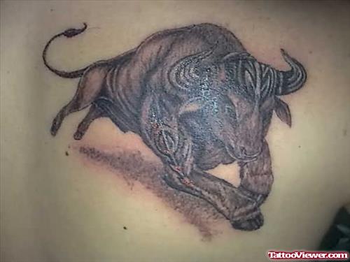 Jumping Bull Tattoo On Body