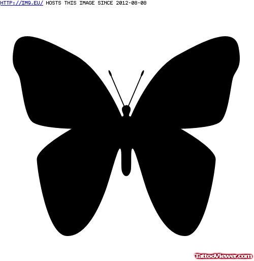 Attractive Black Butterfly Tattoo Design