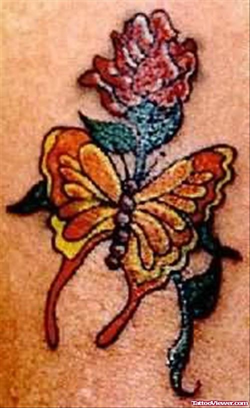 Terrific Coloured Butterfly Tattoo