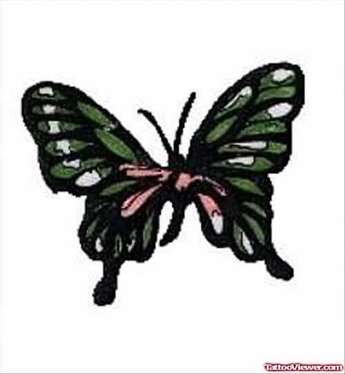 Butterfly Tattooq