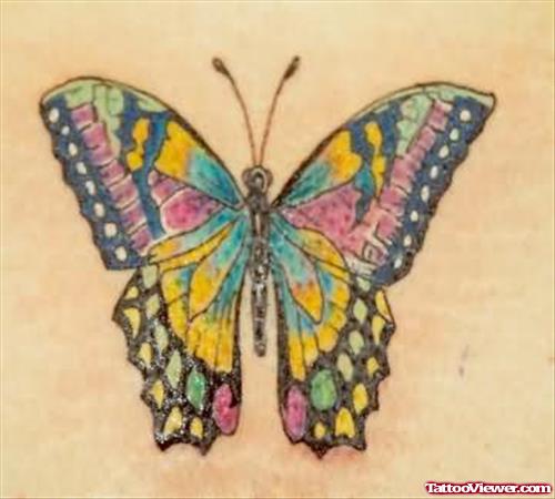 Sweet Colourful Butterfly Tattoo