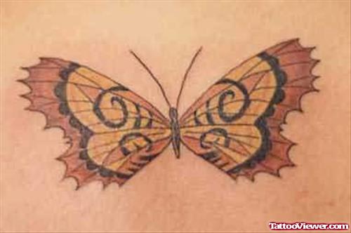 Glorious Butterfly Tattoos