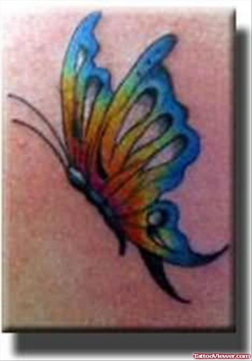 Elegant Coloured Butterfly Tattoo