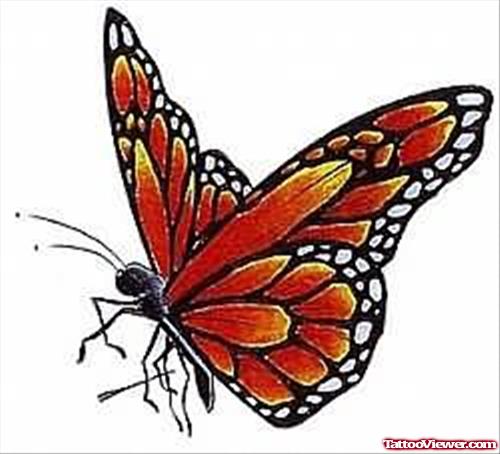 Butterfly Coloured Tattoo