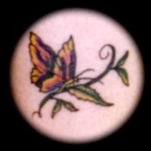 Lovely Colourful Butterfly Tattoo