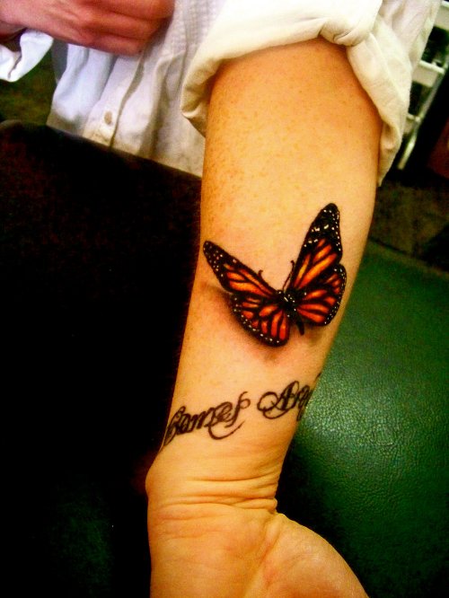 Left Arm 3D Color Ink Butterfly Tattoo