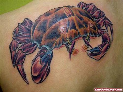 Attractive Crab Cancer Tattoo On Back Shoulder