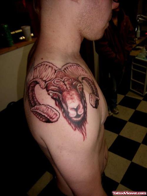 Right SHoulder Capricorn Tattoo