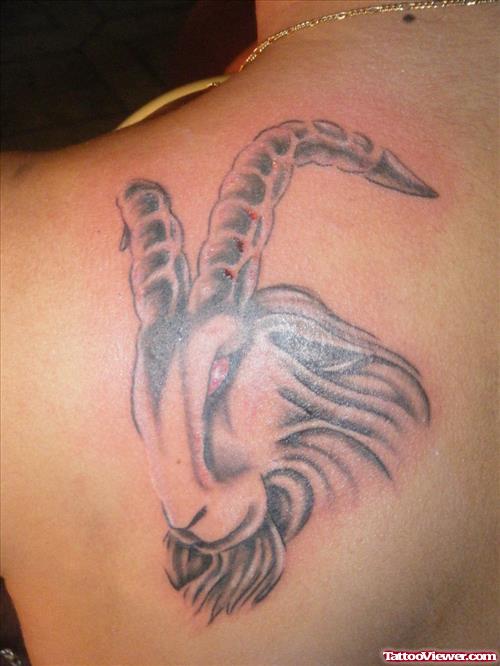 Grey Ink Capricorn Tattoo On Left Back Shoulder