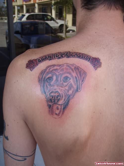 Dog Cartoon Tattoo On Back