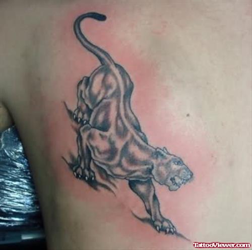 Cat Tiger Tattoo